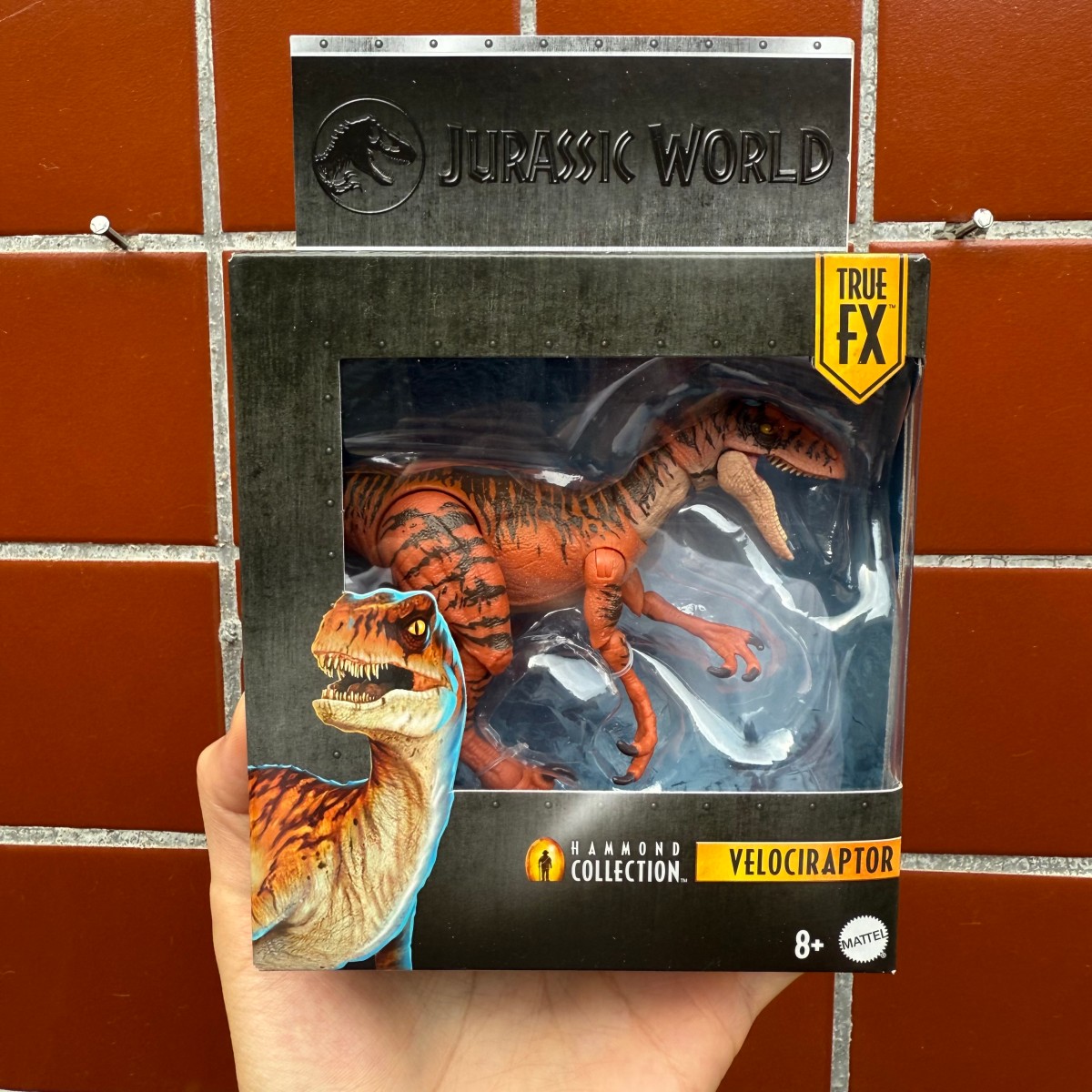 Mattel Jurassic World Hammond  - Mattel Collectible & Vintage Dolls ulasan dan harga
