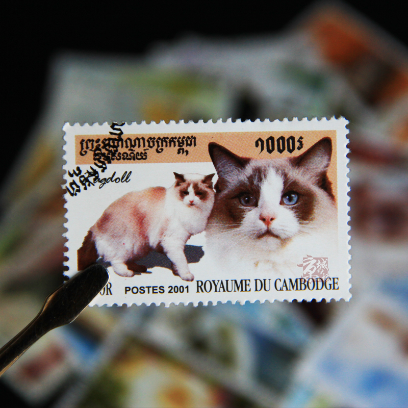50 Different Cats Stamps 50 No - Vintage Collectible Stamps ulasan dan harga