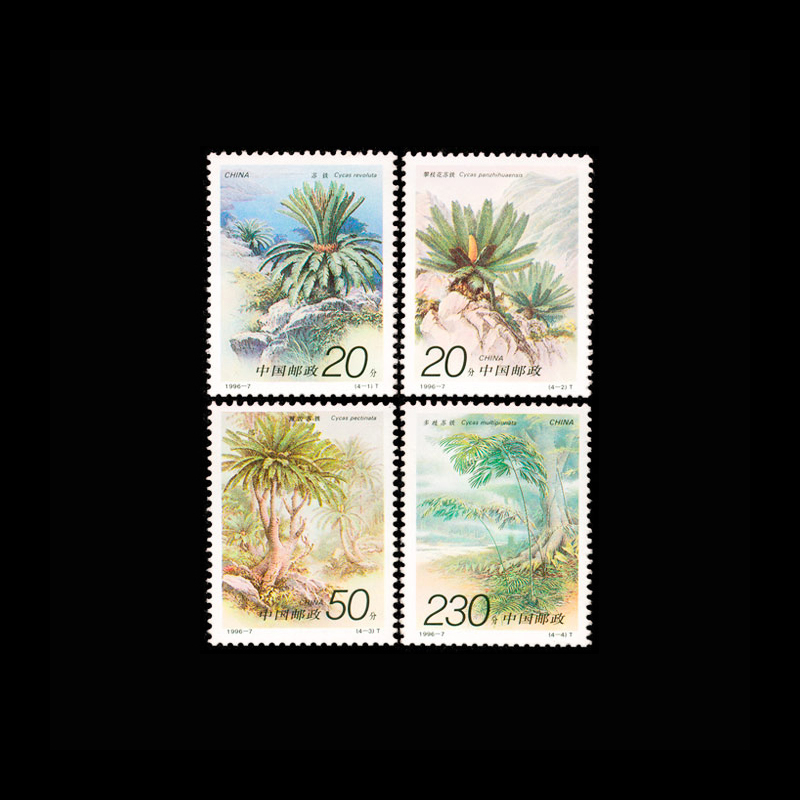 Vintage 1996 Chinese Cycas Pla - Vintage Collectible Stamps ulasan dan harga