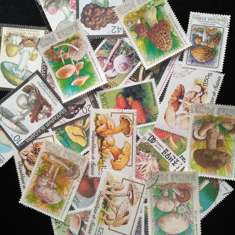 100 Different Original Mushroo - Vintage Collectible Stamps ulasan dan harga