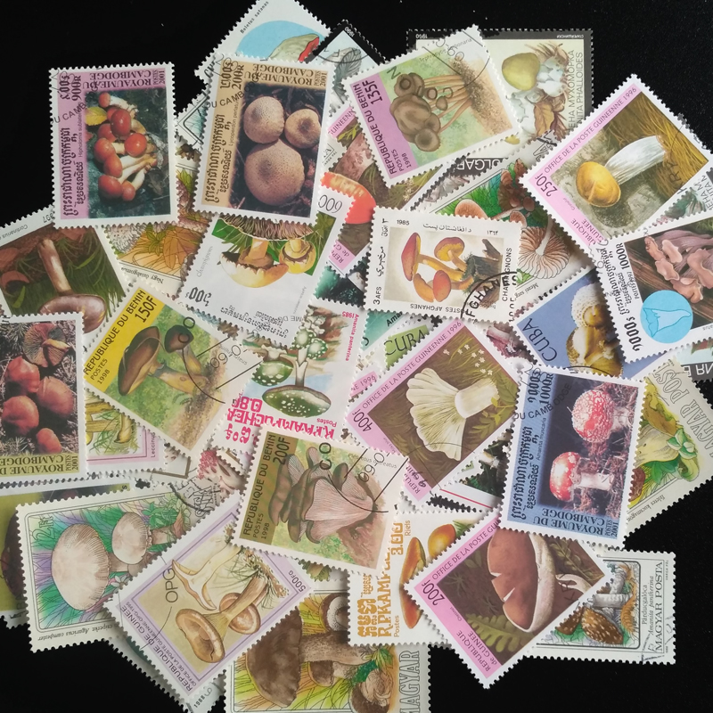 100 Different Original Mushroo - Vintage Collectible Stamps ulasan dan harga