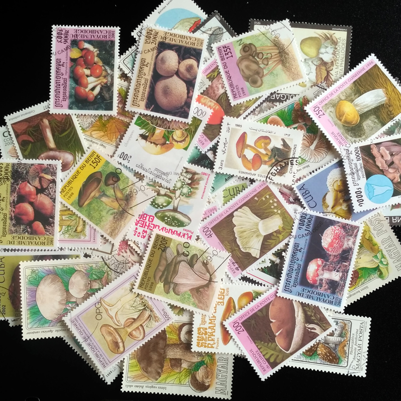 100 Different Original Mushroo - Vintage Collectible Stamps ulasan dan harga