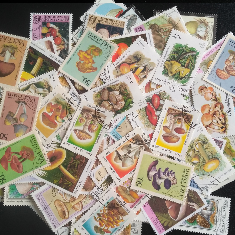 100 Different Original Mushroo - Vintage Collectible Stamps ulasan dan harga